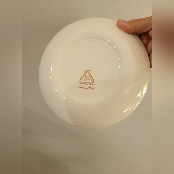 Autumn Gold 7 1/4" Dinner Plate by Century Service - Picture 6 of 6